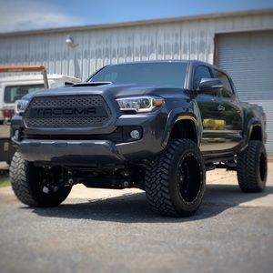 Meet your Posher, Gavin